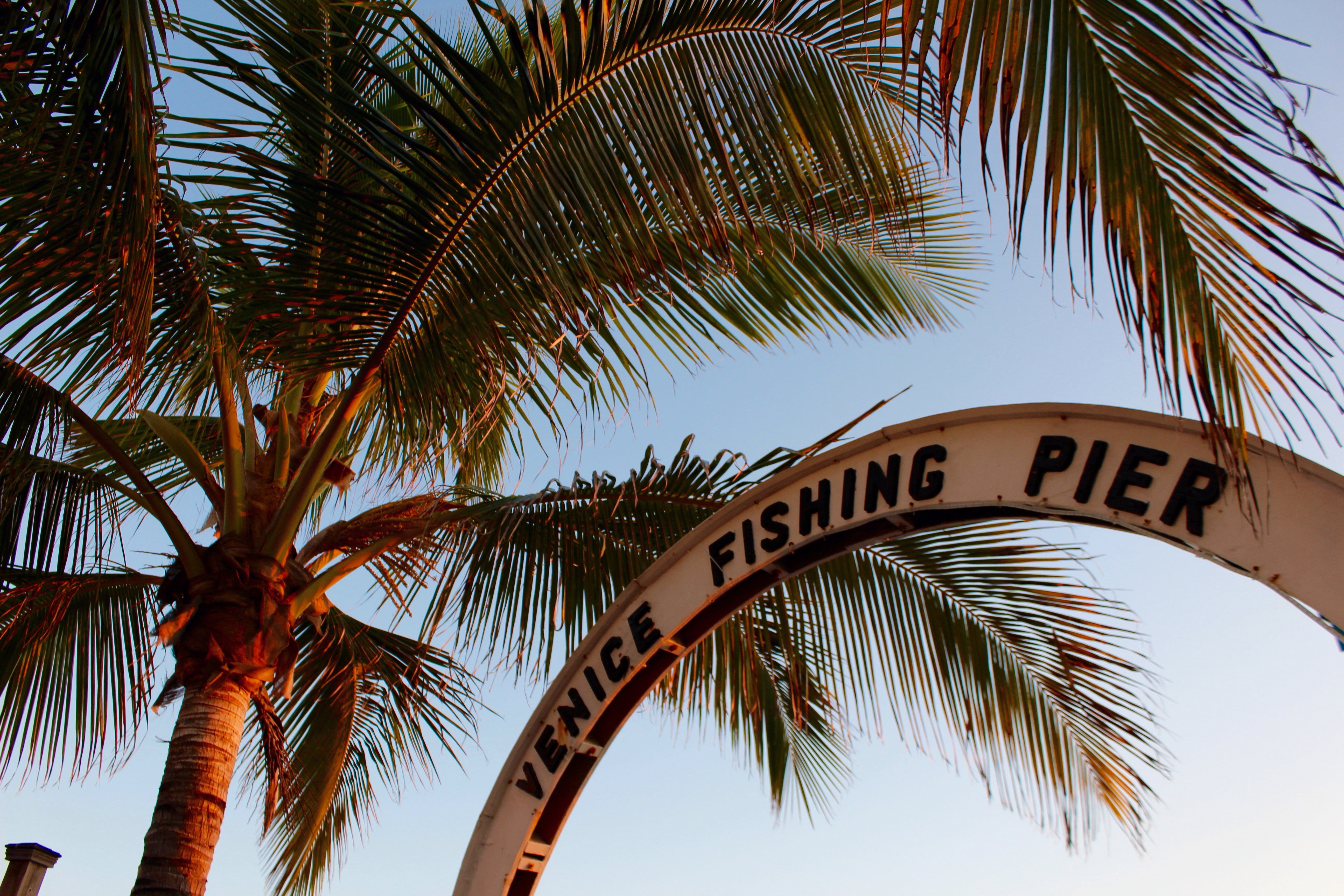 Venice Fishing Pier